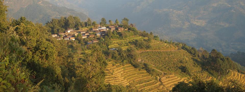 prial78's tweet photo. Agricultural land abandonment webinar is already tomorrow. You are warmly welcomed to join! But pre-registration is required. #GLP #landuse #abandonment #underuse #marginal https://t.co/sjVh26GuFX https://t.co/4hnxzIxZtG