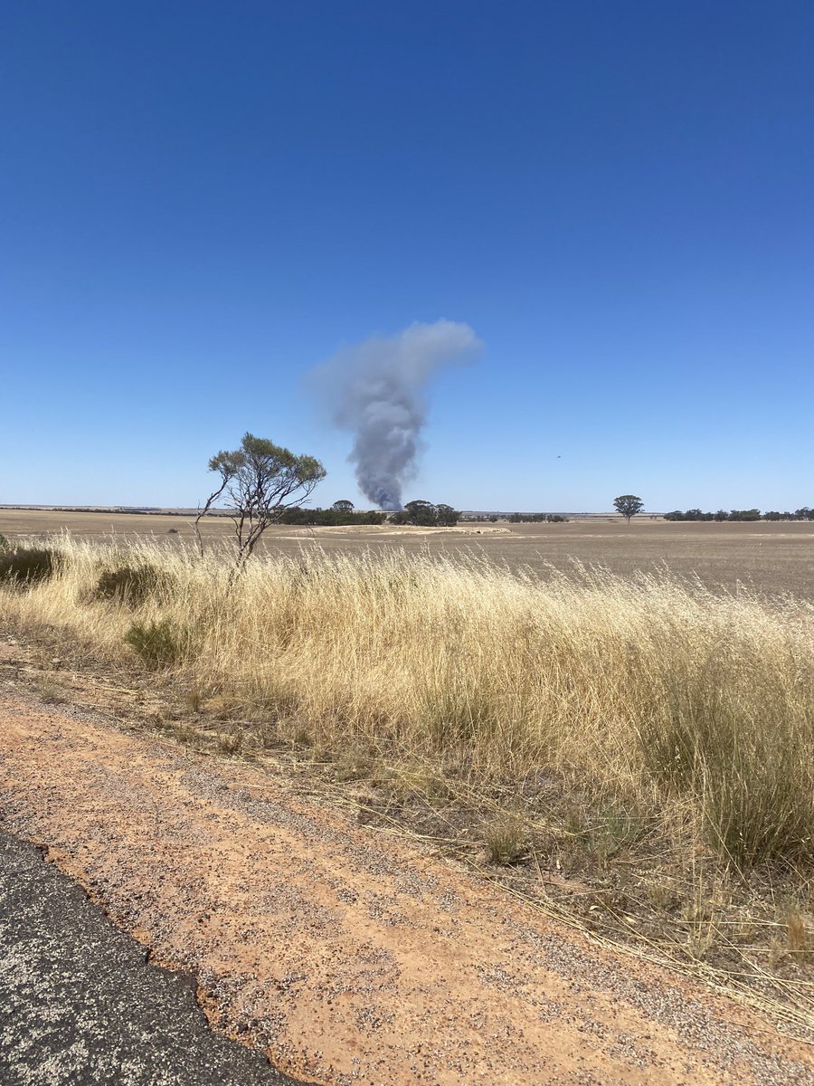 If you see smoke like this in the country leave your views on vaccination at home and just get there safely and help out because you never know when you will want help yourself. Great turn out to this fire this arvo and very happy just to be able to help a neighbour out.