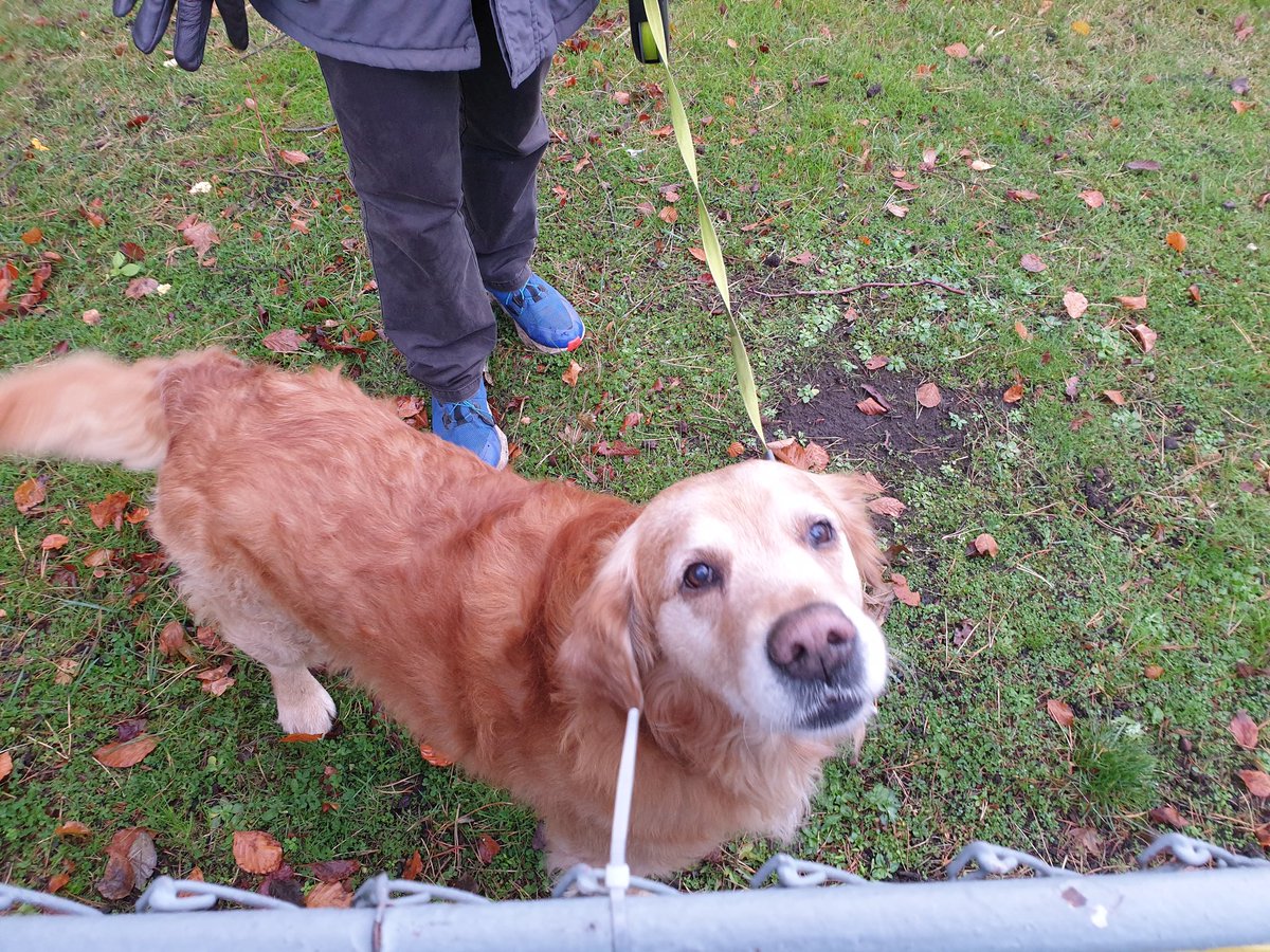 UCU St Andrews tweet media