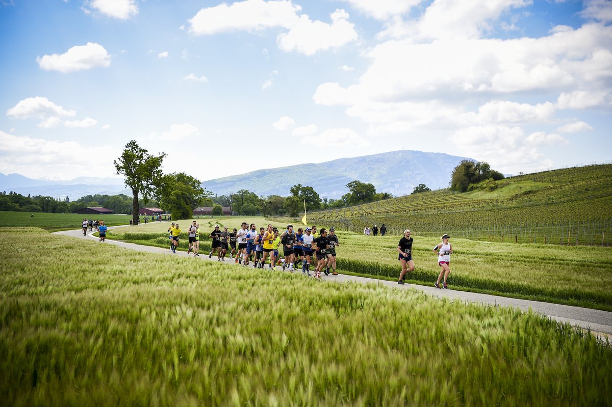 GeneveMarathon's tweet photo. C'est maintenant ou jamais ! 🏃🏃 Si vous voulez bénéficier des tarifs réduits n'attendez plus une seule seconde. ⏰
Rendez-vous les 14 et 15 mai 2022 🎉
Pour s'inscrire, rendez-vous sur notre site internet : https://t.co/WKnbymDFde
#GeneveMarathon #FastIsBeautiful https://t.co/tswEhF16AR