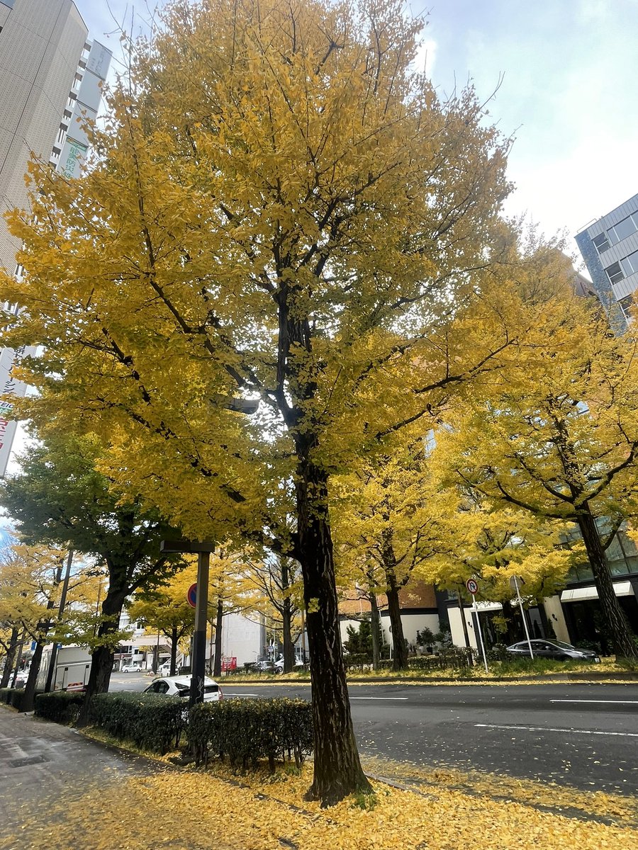 misato9211's tweet photo. 仙台✈️
牛タンうますぎたぁ〜 https://t.co/r0oknW84uw