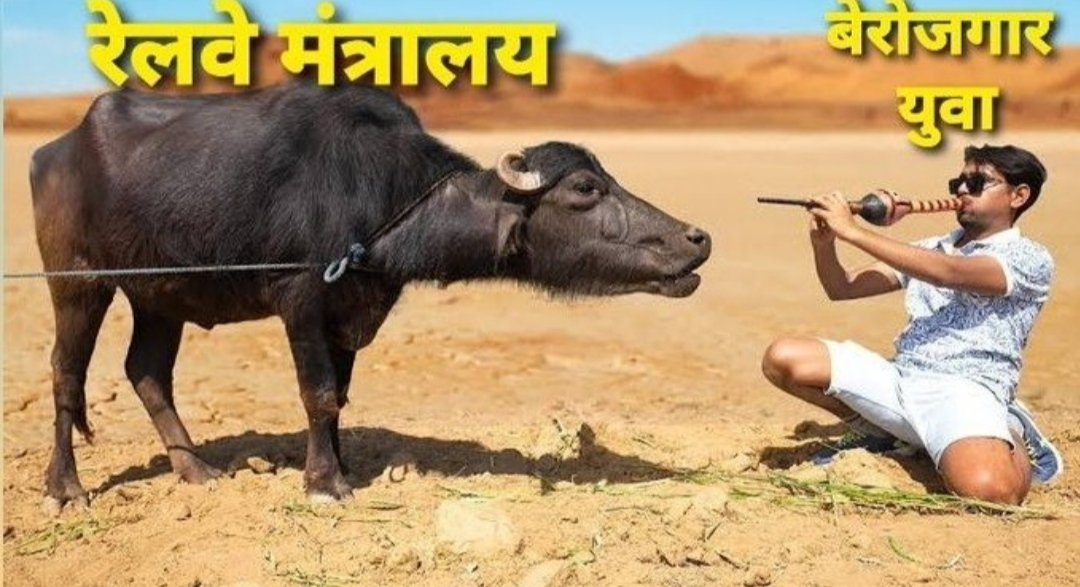 Mrshakt's tweet photo. #JusticeForRailwayStudents
#JusticeForRailwayStudent 
Modi Government is one of worst government for Job aspirants. https://t.co/K1iH2tXGlj
