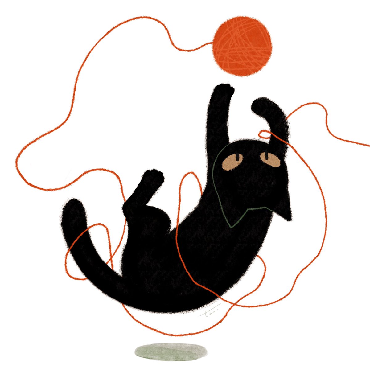 「毛糸とじゃれる猫🧶
#イラスト
#illustration 」|taniのイラスト