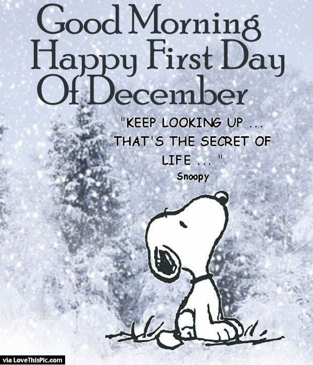 🕒 YourChristmasCountdown.com 🎄🎅