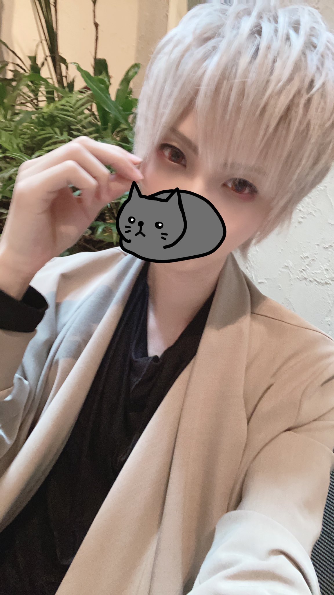 まふまふ on X: 