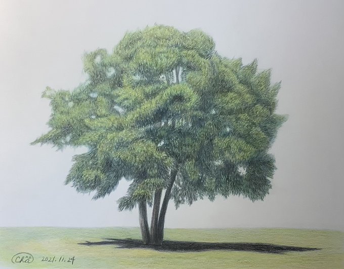 色鉛筆画のtwitterイラスト検索結果 古い順