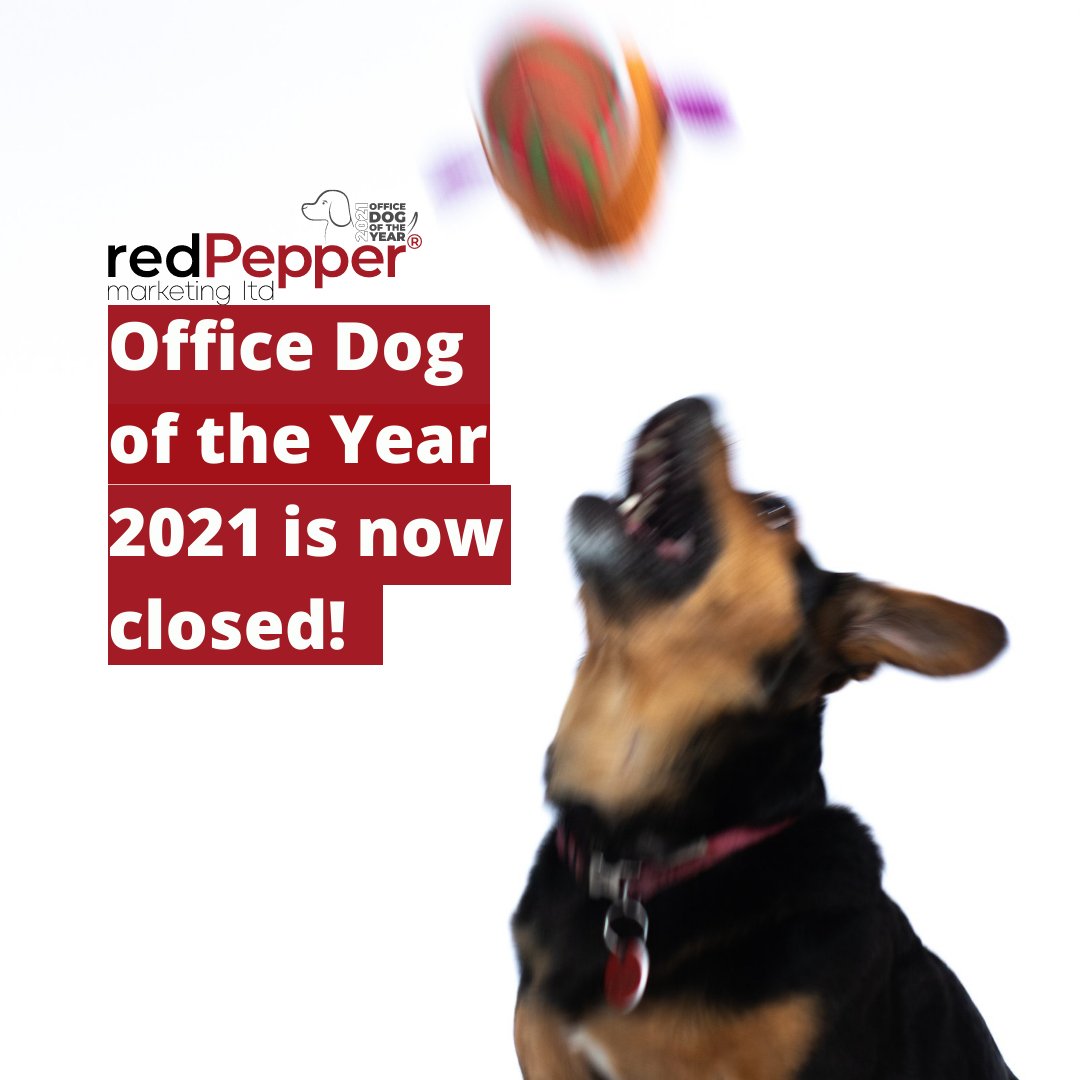 Office Dog of the Year, 2021 is now shut!
Thank you to all our entrants and those who have been involved!🐶
Hold tight for the winner announcement on Tuesday 7th December👀#marketing #marketingagency #marketingessex #marketingagencyessex #competition  #officedog #officedog2021