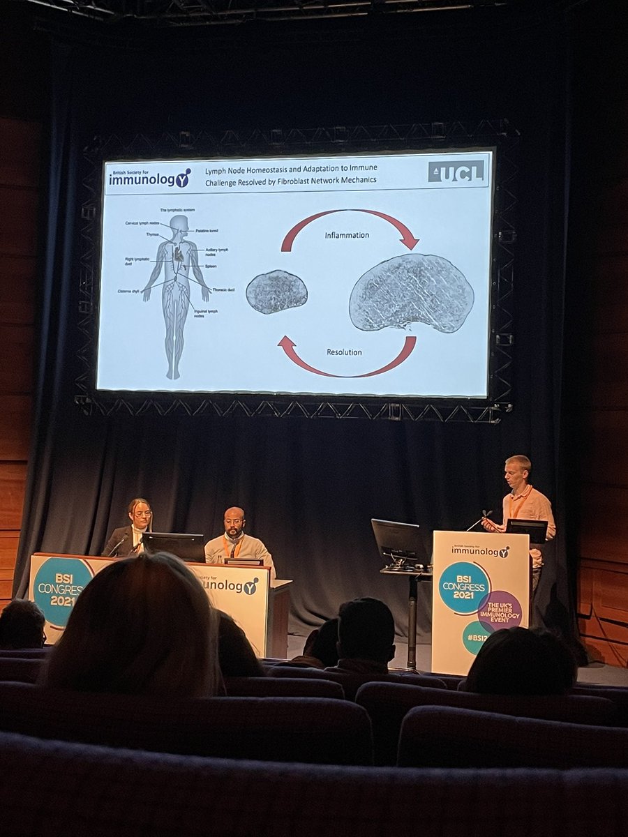 Dr Sophie Acton (@actonlab) on Twitter photo Lymph node mechanics in #BSI21
<a href="/hlhorsnell2/">hlhorsnell</a> (bright sparks winner!) speaking in mathematical modeling session!
#biophysics #stroma #stromalimmunology Lymph node mechanics in #BSI21
<a href="/hlhorsnell2/">hlhorsnell</a> (bright sparks winner!) speaking in mathematical modeling session!
#biophysics #stroma #stromalimmunology