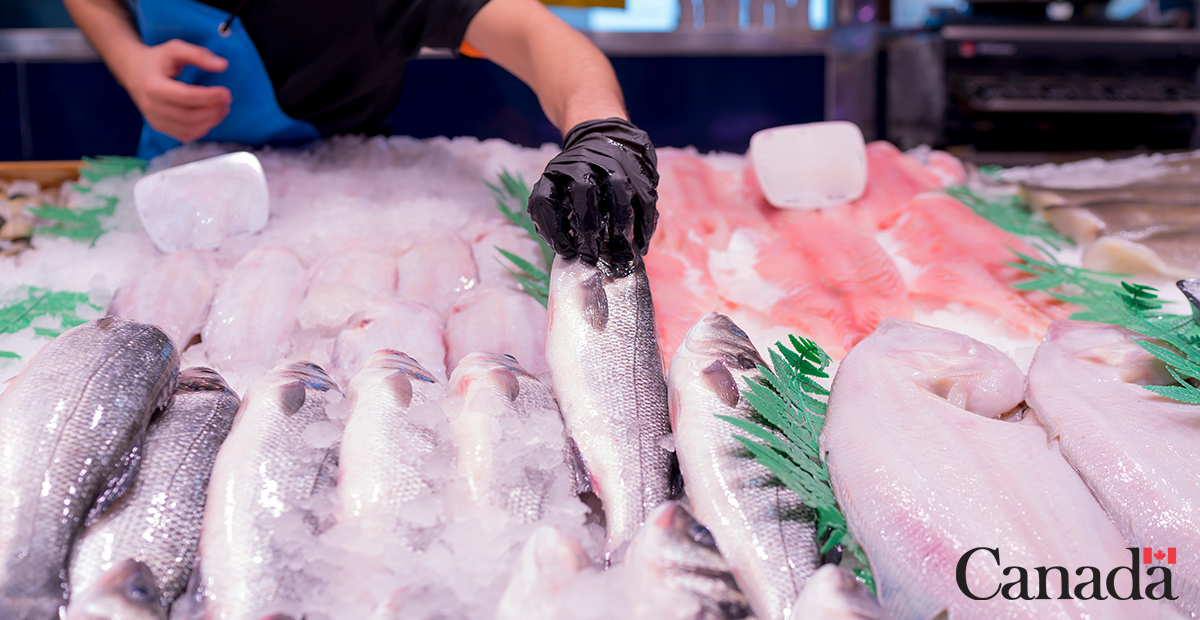 InspectionCan's tweet photo. Check out our discussion paper on ⛵ boat-to-plate traceability 🐟 and tell us what you think.
Have your say before December 11! #TellCFIA
https://t.co/A0KTBAt5XF https://t.co/bR53G8B17C