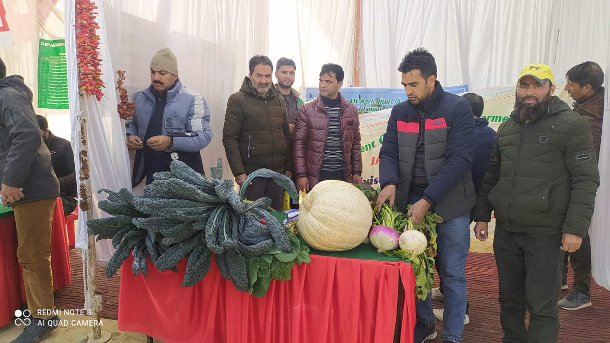 AgriBudgam's tweet photo. #Agriculture_Stall at day-long #Tourism_Festival held today at #Tourist_destination #Sitharan #Tosamaidan
@PMOIndia @OfficeOfLGJandK @CEEOIndia @DC_Budgam @dicbudgam @JkAgriculture @AgricultureKmr @BudgamH @dirhpm @HortiKashmir @icarindia https://t.co/RfErL0N7ca
