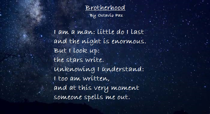 Normalem tweet media