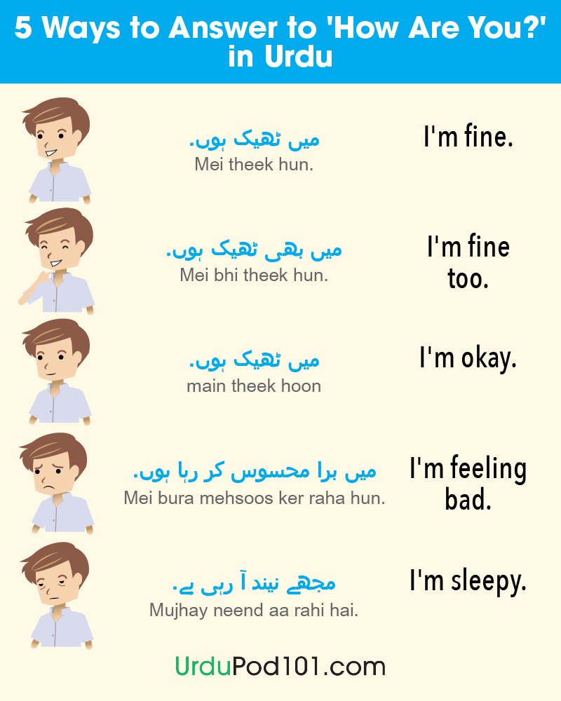 200 Basic Urdu Words And Phrases: An Easy Guide – PEHFP