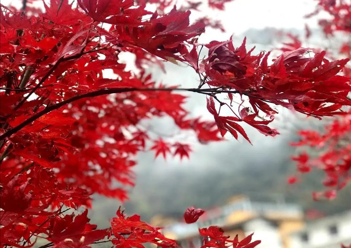 PS17205's tweet photo. #2021年最后一个月#
12月，你好呀🌿 https://t.co/JPXmL2nxqz