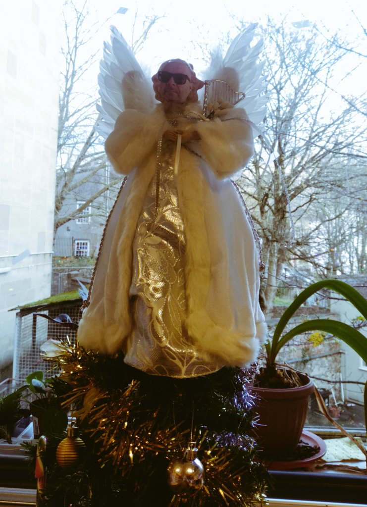 Collinson Lab tweet media