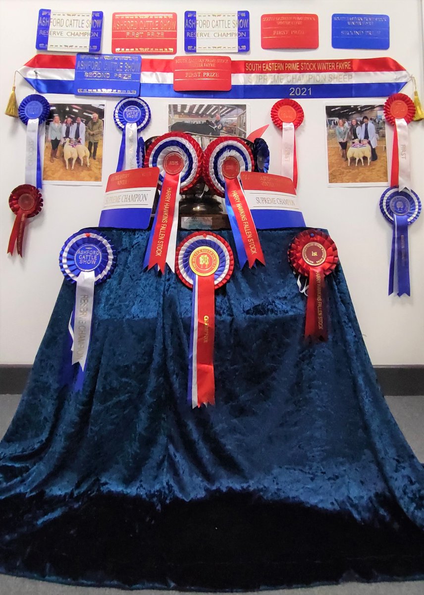 The High Weald Academy tweet media