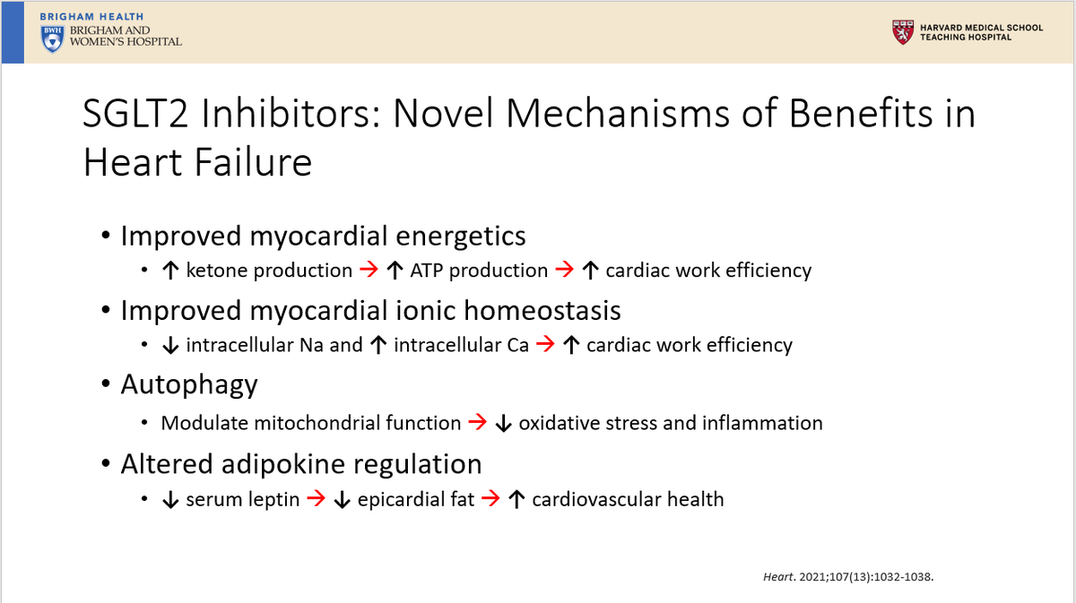 "Through various mechanisms, SGLT2 inhibitors have shown several cardiovascular benefits in patients with HFrEF and HFpEF regardless of diabetes status."