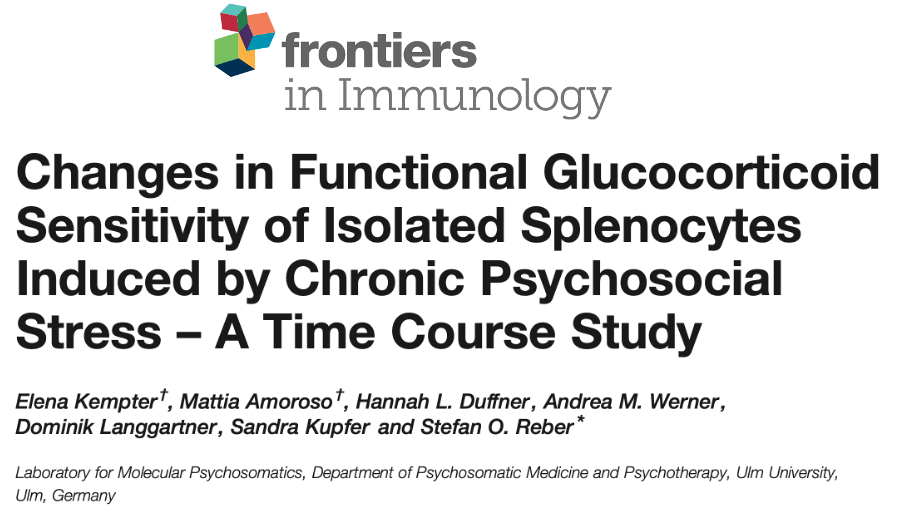 MolPsySoUlm's tweet photo. Our study assessing changes in functional glucocorticoid sensitivity of isolated murine splenocytes throughout the time course of chronic psychosocial stress has been published in Frontiers in Immunology.
#ChronicStress #ChronicPsychosocialStress #CSC #GCresistance https://t.co/751l8Udshd