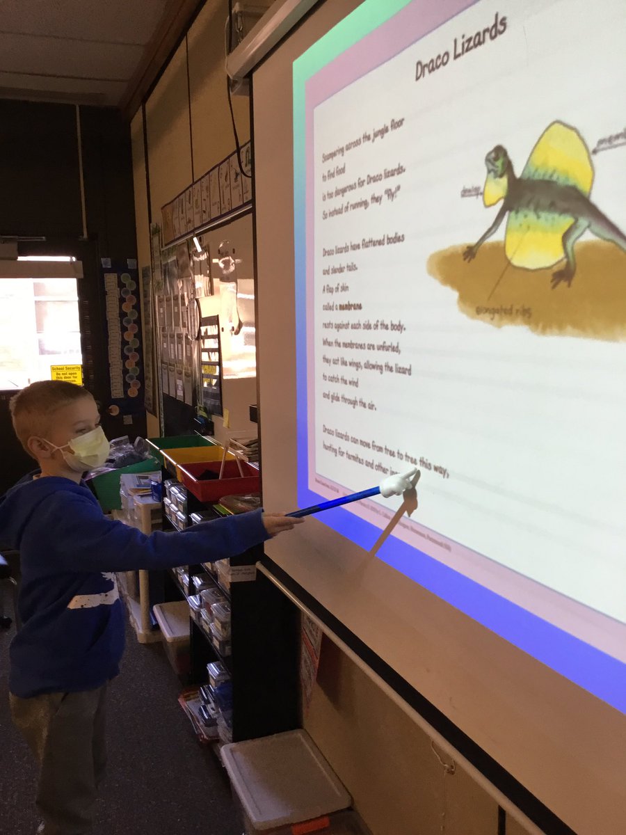 CRASMrsEnnis's tweet photo. Working our way through hard words- step by step - with a little help from our friends. #tcrwp #uosphonics #fts4rkids https://t.co/2lTReliFsg