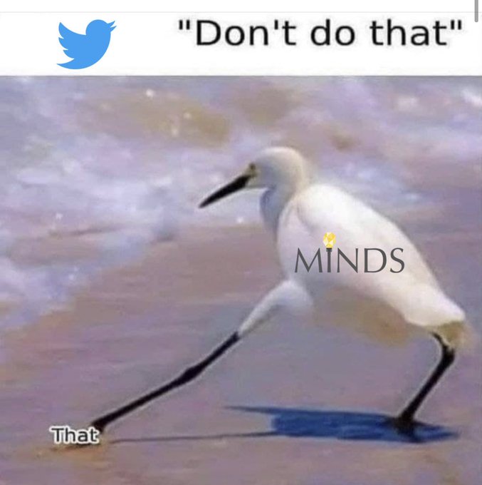 This is great @minds follow me https://t.co/kEEVR4gEQG https://t.co/SvS7Je4iGu<a class="tags" target="_blank" title="On Twitter" href="/?out=eyJ0eXAiOiJKV1QiLCJhbGciOiJIUzUxMiJ9.eyJpYXQiOjE3MTg4NDI5MDAsImlzcyI6InR3cG9ybnN0YXJzLmNvbSIsIm5iZiI6MTcxODg0MjkwMCwiZXhwIjoxNzUwMzc4OTAwLCJyZWRpcmVjdF91cmwiOiJodHRwczovL3R3aXR0ZXIuY29tL21pbmRzIn0.PxBUebhSs9WxiMou4jgNDngjWHxr2CJ4PXG7aGO9bNa3jl77mZvIriGM6mZSixQClNJv2r4uwYbooTA7Hakevg">@minds</a><a href="/tag/darkwaters"class="tags"><span>#darkwaters</span></a>