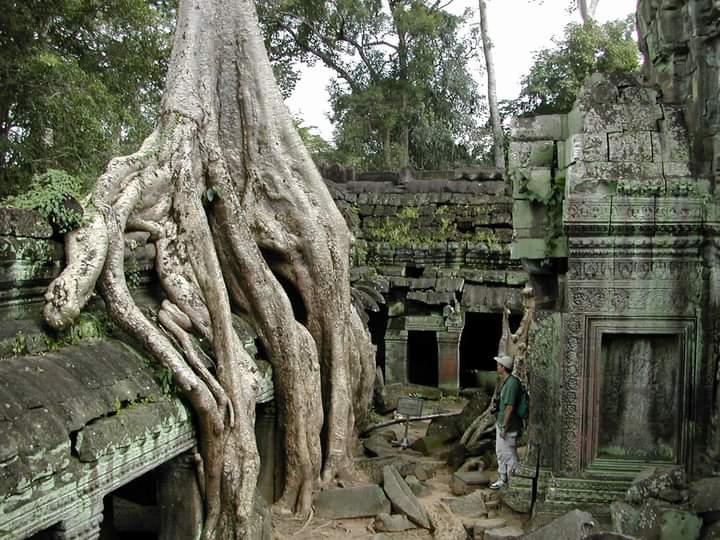 ViettinT's tweet photo. #TaProhm - The temple overgrown by huge ficus tree roots, where scenes from the film "#LaraCroft - #TombRaider" with #AngelinaJolie were filmed. https://t.co/AoQY099BQy