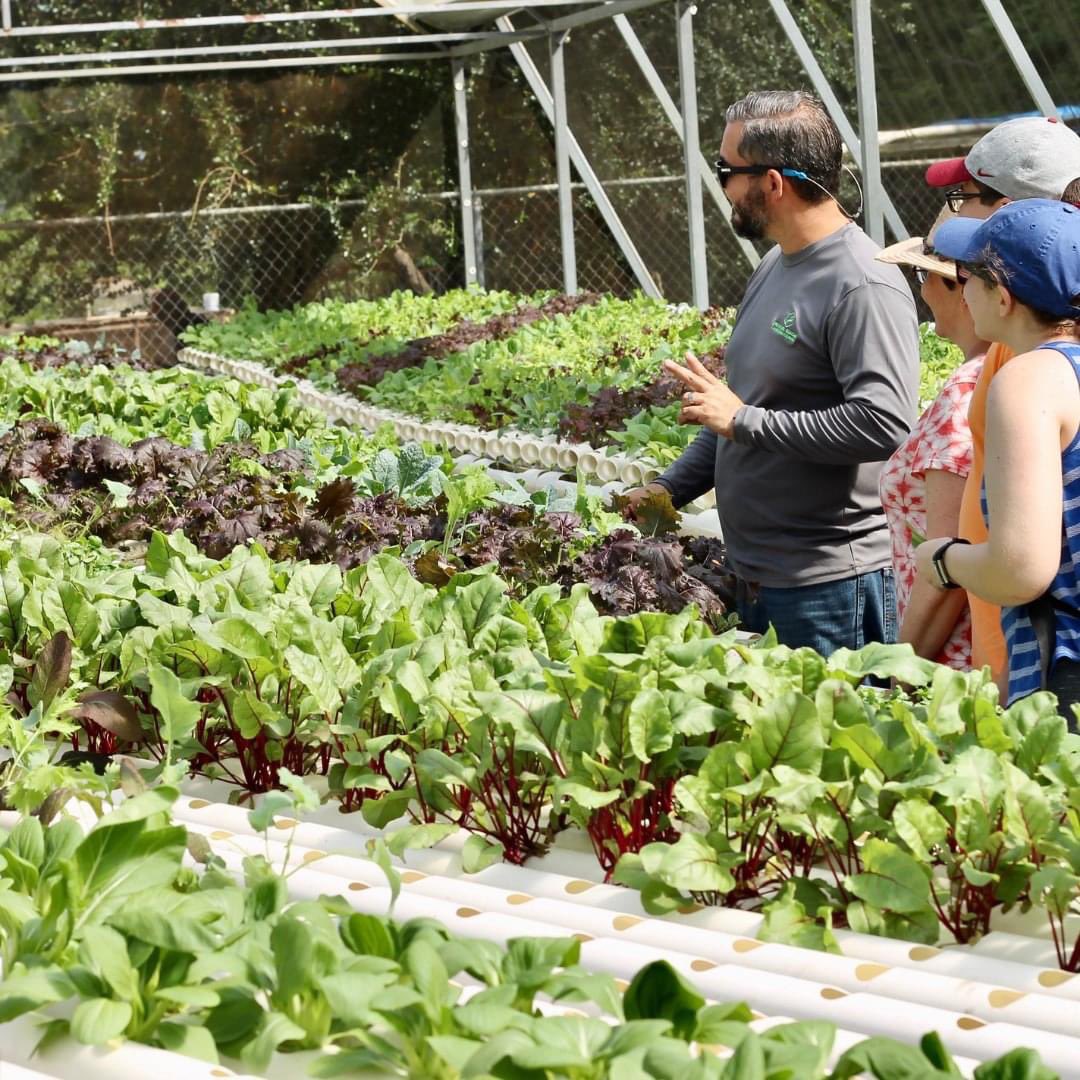 Planning your trip to #PuertoRico and are thinking of ways to be more intentional and sustainable?

Then our Digital Itineraries are for you! We have three thematic itineraries at localguest.com

All are 20% off until December 15th, 2021.

Check them out!