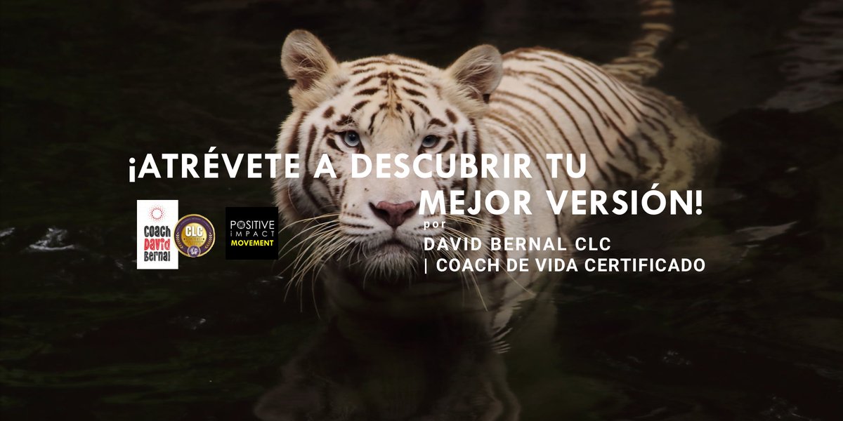 Positive iMPACT Movement tweet media