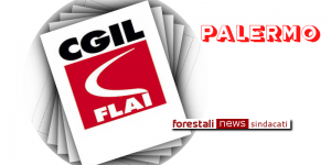 ForestaliNews's tweet photo. Cassa regionale chiusa. I lavoratori Forestali dovranno ancora attendere…..per tante cose… https://t.co/rKvTihGFIO