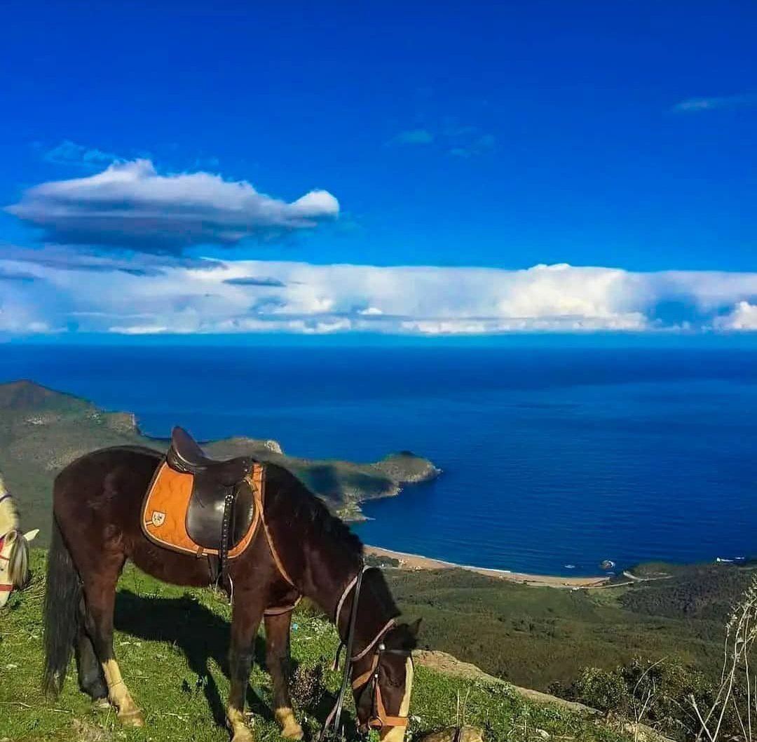 Arabbeau's tweet photo. Annaba , Algeria https://t.co/7ABvScfjqj