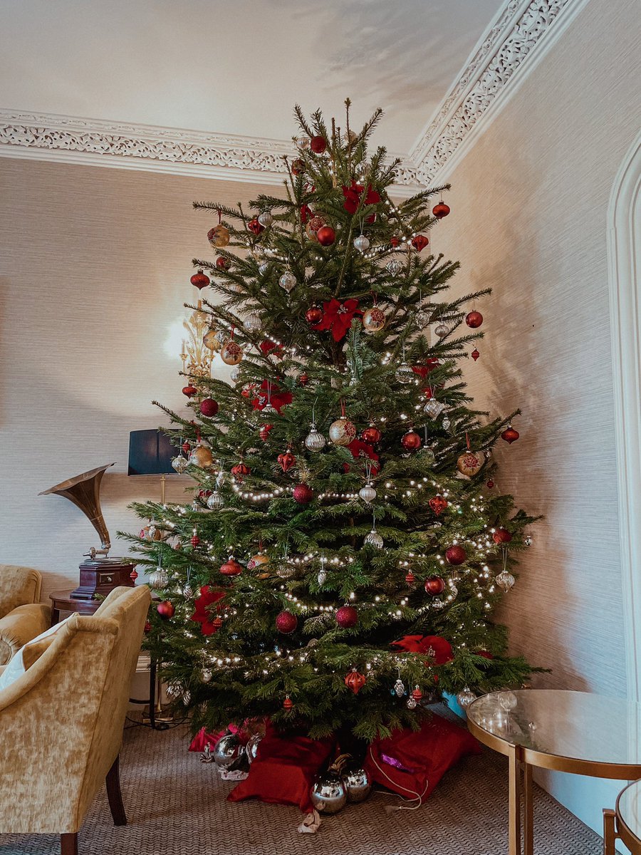 December 1st means our Christmas trees are being installed and decorated! 

We’re officially getting ready for Christmas 🎄 

#CotswoldChristmas #Christmas2021 #christmasiscoming