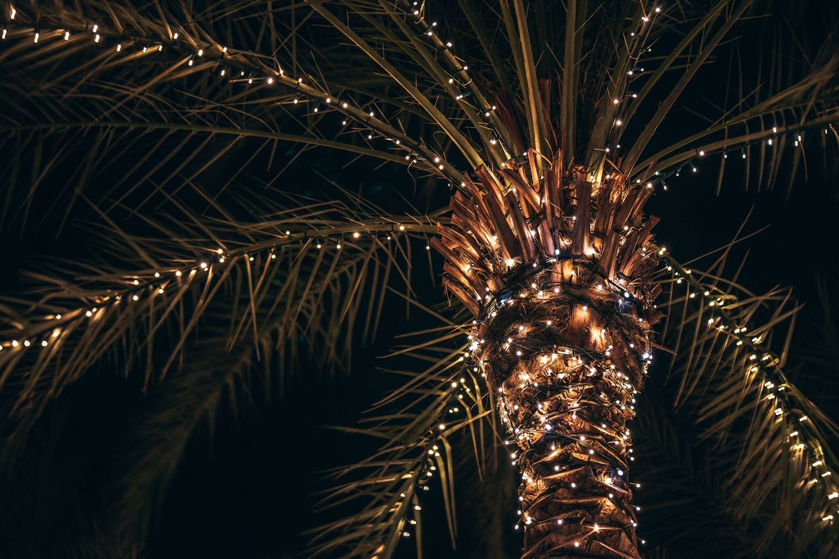 It’s National Christmas Lights Day, but no matter what holiday you and your loved ones celebrate, we just want to take a moment to appreciate sparkling, decorative lights in all their forms! Check out the CROOW Stock library for more mesmerizing lights: bit.ly/2NA6Xeb