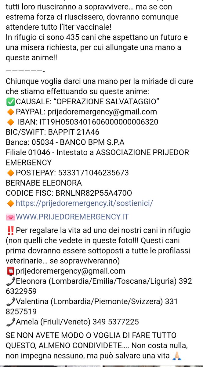 zampa_qua's tweet photo. STRAURGENTISSIMO🆘🆘🆘🆘Eleonora ☎️392 6322959 AIUTIAMO CHI AIUTA GUARDATELI 😭UN DOLORE ANDATE SUL PROFILO 🐕 https://t.co/XT1sE5lOlp HANNO BISOGNO DI SOSTEGNO DI FAMIGLIA DI AMORE SE LO MERITANO CI SONO 435 CANI IN QUESTO RIFUGIO AIUTIAMOLI @PlanetSurfinia https://t.co/0gNw12dyM2