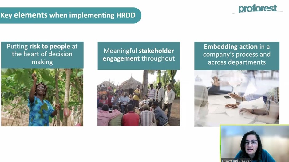 Proforest's Dawn Robinson, speaking about key elements to consider when implementing #HumanRights Due Diligence during today's @AcctFramework webinar on integrating workers' rights into commodity supply chains, featuring @RnfrstAlliance, @Nestle, @Oxfam https://t.co/Kvx2eOjcp6 https://t.co/FwSp5TUCYS