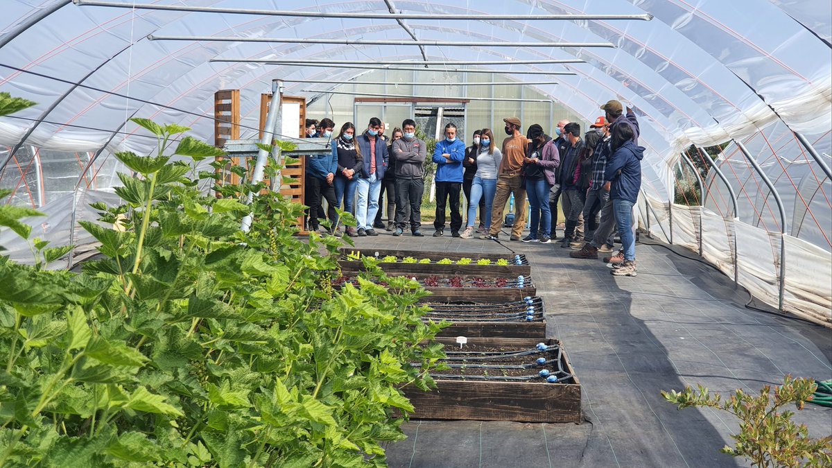 Día de campo faro agroecologico <a href="/Inia_Kampenaike/">@IniaKampenaike</a>  con jovenes rurales de <a href="/INDAP_Chile/">INDAP_Chile</a>  @goremagallanes1 <a href="/JorgeFlies/">Jorge Flies</a> <a href="/MinagriMagallan/">MinagriMagallan</a> <a href="/MinagriCL/">Ministerio de Agricultura de Chile 🇨🇱</a>