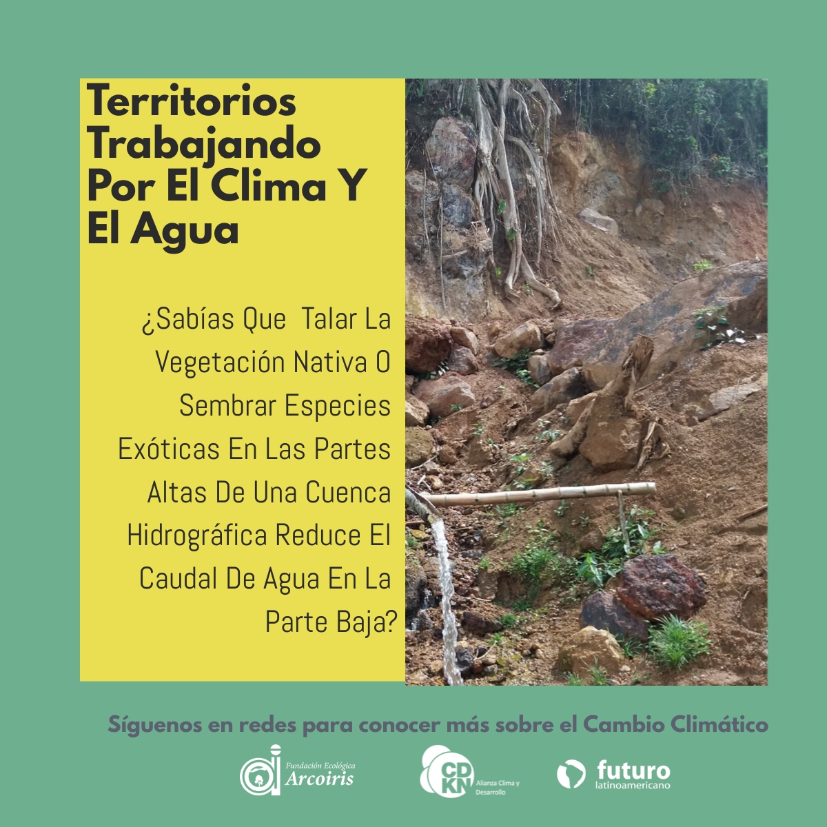 #FondoSemilla #Ecuador | ¿Sabías que #talar la vegetación nativa o sembrar especies exóticas en las partes altas de una cuenca hidrográfica reduce el caudal de #agua en la parte baja?

✅Sigues esta campaña de <a href="/Arcoiris_bakan/">Fundación Ecológica Arcoiris</a> con el apoyo de <a href="/FuturoLatinoame/">Fundación Futuro Latinoamericano</a> - <a href="/CDKN_LA/">Alianza Clima y Desarrollo en América Latina</a>