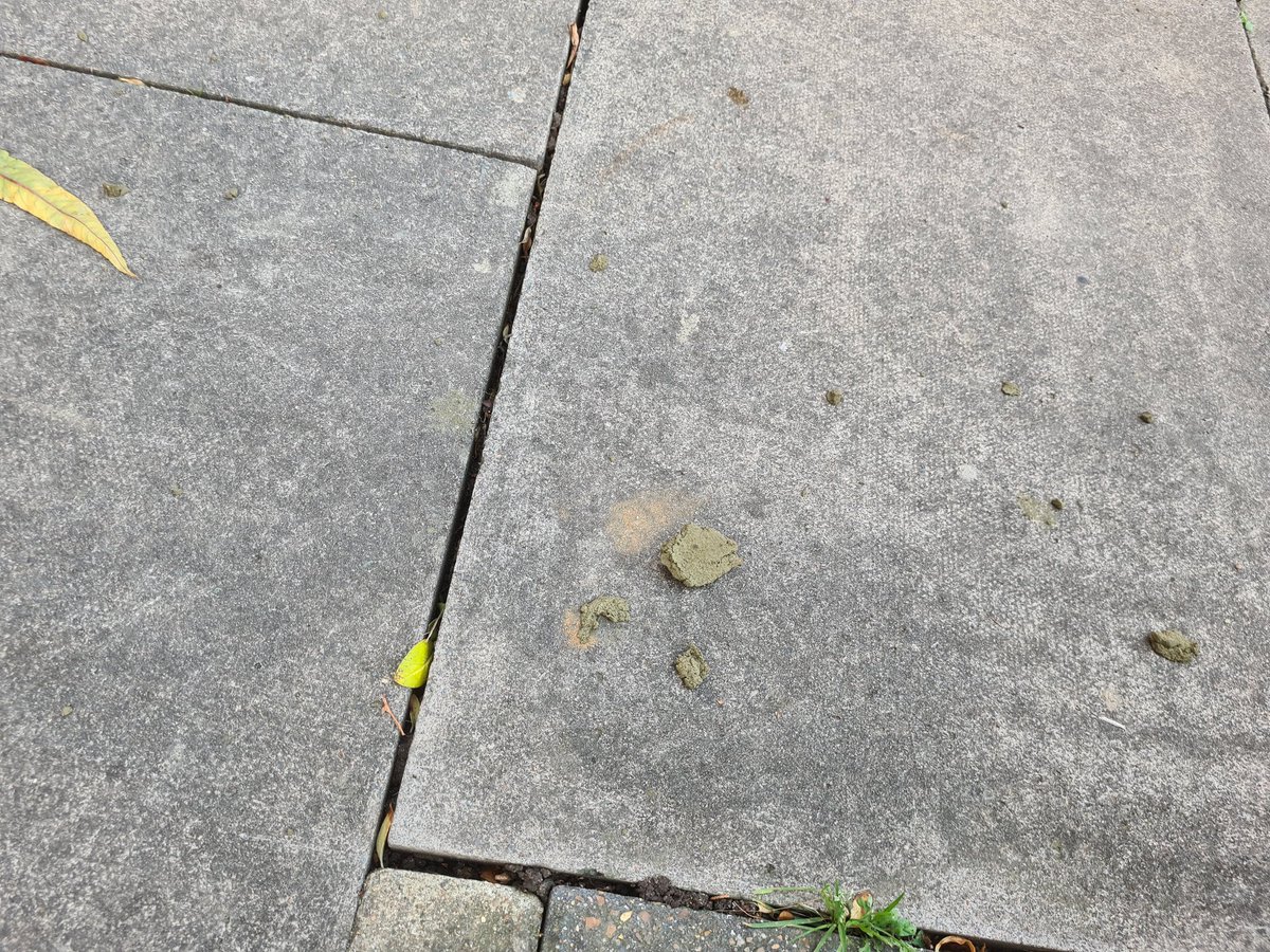 ParlarFam's tweet photo. @HothfieldPlace According to @BritishLandPLC this is acceptable. Zero care about health and safety for the residents at Hothfield Place @CWmasterplan @Keltbraygroup https://t.co/lCIFeQsYob