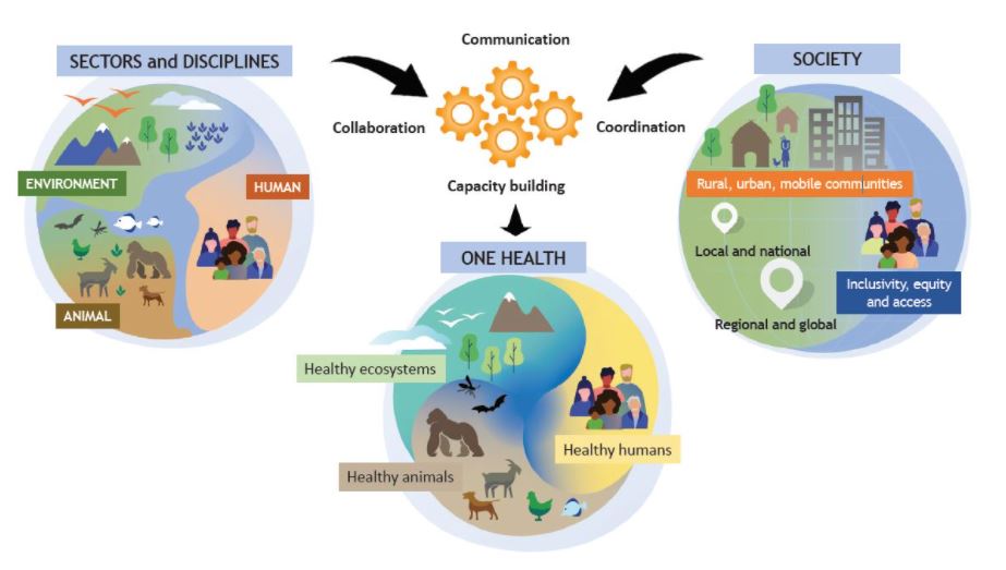 Tripartite and UNEP support OHHLEP's definition of 'One Health'
👉who.int/news/item/01-1…

#OneHealth #ForNature #healthyplanethealthypeople
@UNEP @UNBiodiversity