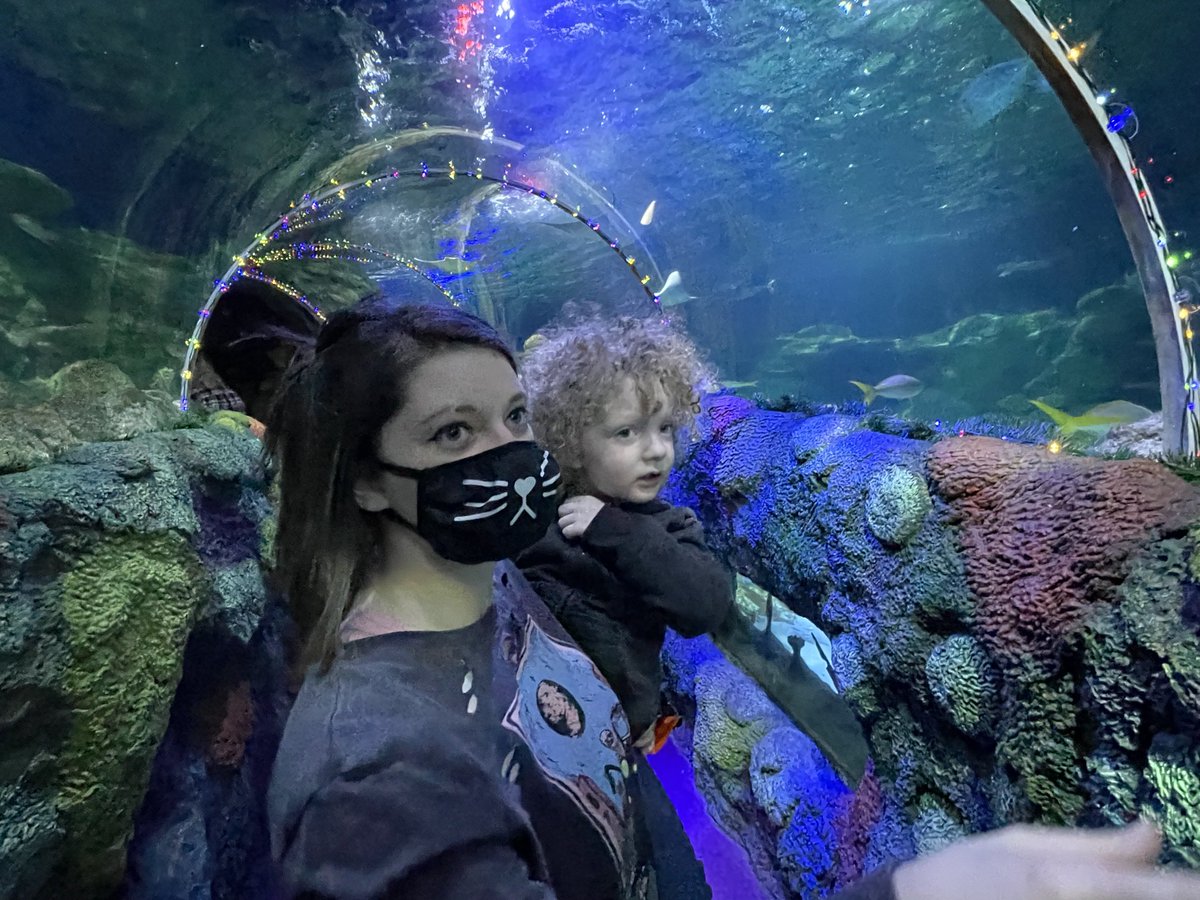 HeyItsHam1's tweet photo. Took Eli to the aquarium yesterday. He had a blast https://t.co/56MwNiwDKx