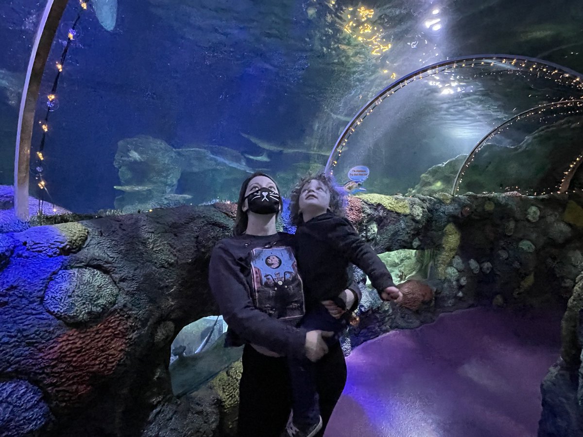 HeyItsHam1's tweet photo. Took Eli to the aquarium yesterday. He had a blast https://t.co/56MwNiwDKx