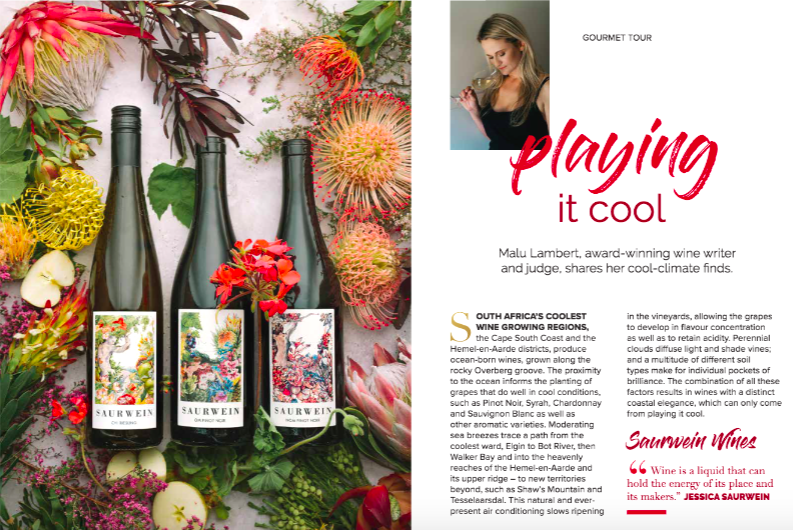 MaluLambert's tweet photo. Playing it cool... The summer edition of the #gourmetguide is out, in it I recommend some cool-climate wines from the Overberg. Read the mag here, full of recipes and stories: https://t.co/iRGiurz9FI https://t.co/jwF3ErRuhA