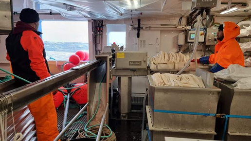 argosfroyanes's tweet photo. And so the wait is over and we welcome #ROSSSEA 2021/2022- 1st December and our work commences across our fleet #MFVARGOSHELENA #MFVARGOSGEORGIA #MFVNORDICPRINCE #CCAMLR https://t.co/l4A5Zjn5yr
