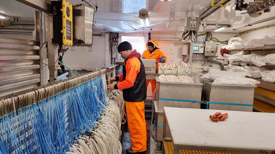 argosfroyanes's tweet photo. And so the wait is over and we welcome #ROSSSEA 2021/2022- 1st December and our work commences across our fleet #MFVARGOSHELENA #MFVARGOSGEORGIA #MFVNORDICPRINCE #CCAMLR https://t.co/l4A5Zjn5yr