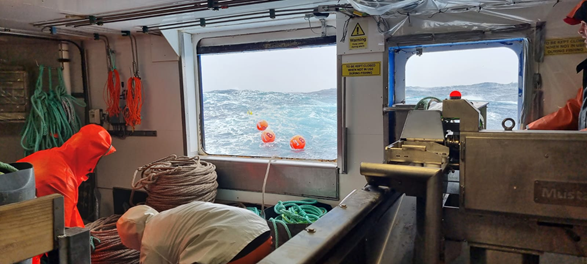 And so the wait is over and we welcome #ROSSSEA 2021/2022- 1st December and our work commences across our fleet #MFVARGOSHELENA #MFVARGOSGEORGIA #MFVNORDICPRINCE #CCAMLR