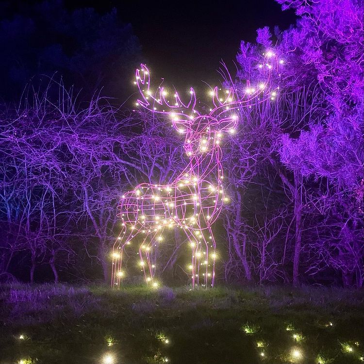 Thanks for the tag 📸 @brummymummydiaries 📍Cotswold Farm Park 

"We’ve had a lovely evening at @cotswoldfarmpark for their @enchantedlighttrail. To top it off, it even started snowing ⛄️ ❄️" Sounds like you had lots of fun 🌟 

#CotswoldFarmPark