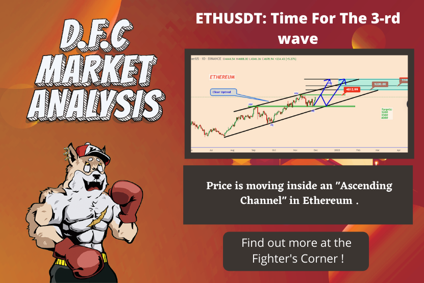 Complete analysis on the Fighter's Corner!