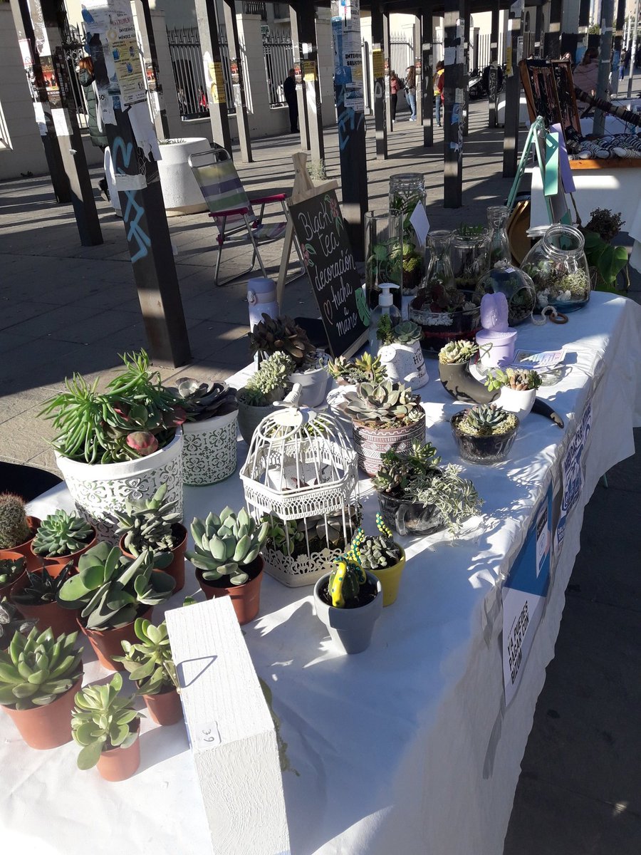 Hoy estamos en Enramadilla