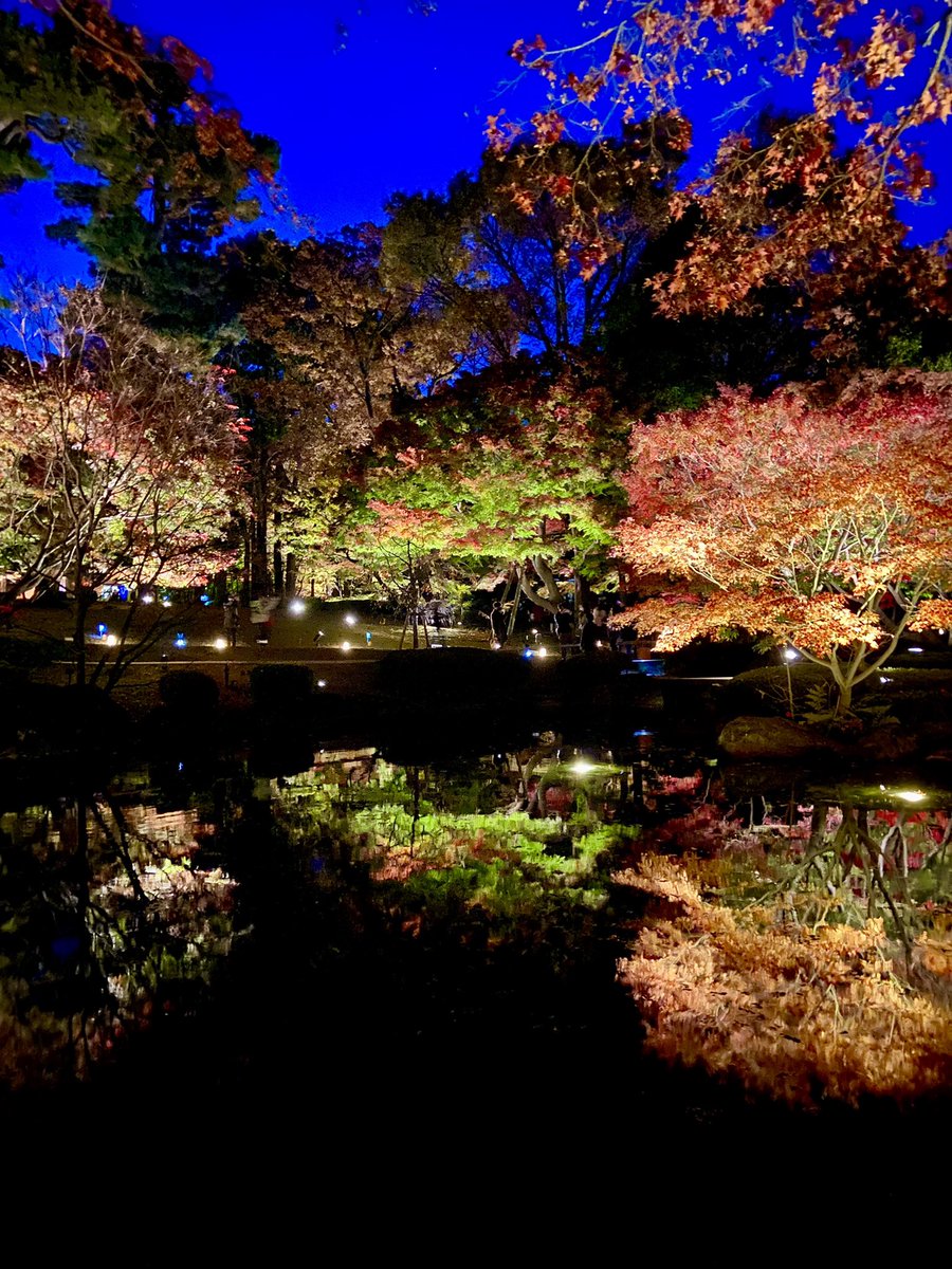 satolife_time's tweet photo. 紅葉の季節ですね✨

#大田黒公園
#紅葉
#ライトアップ https://t.co/fAqOOX1MOE
