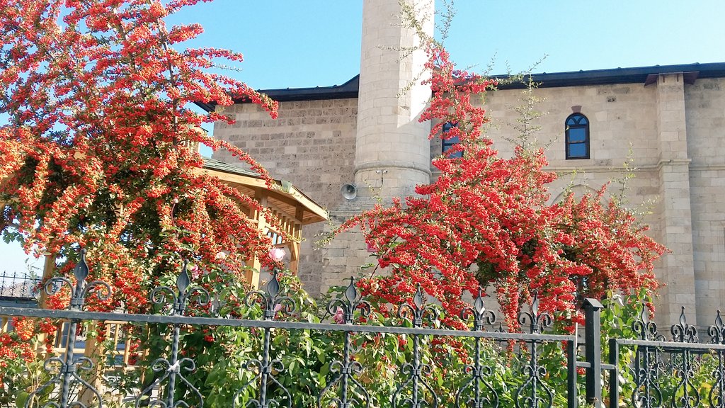 Lüzumsuz şeylerin peşinden koşan, lüzumlu şeyleri kaçırır.
Hz. Ali