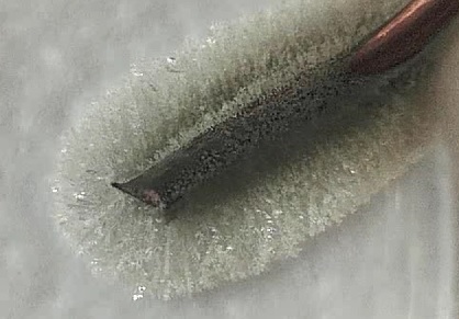 UncleBo80053383's tweet photo. This is an excellent read from @Andrestrujado for both school tchnicians and teachers. @CLEAPSS, #ASEchat, #ASEtech, #chatchemistry.  Here is one of mine. So easy with USB microscopes and good visualisers and to see it happening is just beautiful. https://t.co/H8TOF7R4Dp