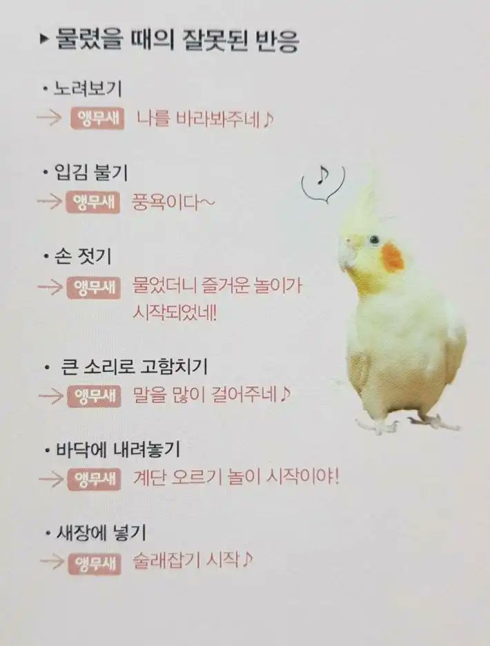 나가이 / 사토
노려보기 > 나를 바라봐주네♪
총쏘기 > 게임이다~
IBM으로 공격하기 > 죽였더니 즐거운 놀이가 시작되었네!
큰 소리로 협박하기 > 말을 많이 걸어주네♪
인력 화력 투입으로 붙잡아두기 > 게임 시작이야!
구속 시도 > 술래잡기 시작♪