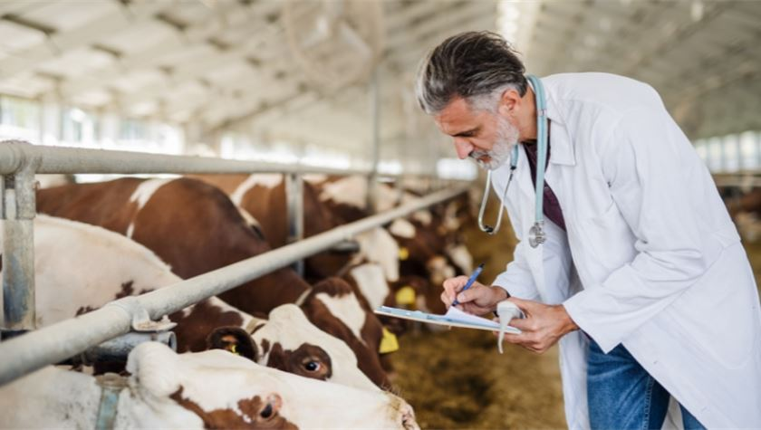 Parlimag's tweet photo. .@animalhealthEU's Roxane Feller explains how new EU rules on veterinary medicines entering into force in January 2022 that strengthen the use of antibiotics will shape Europe’s animal sector. #AnimalHealthMatters #Ad

➡️https://t.co/ewoK8RJVDH https://t.co/ximZBUOh8m
